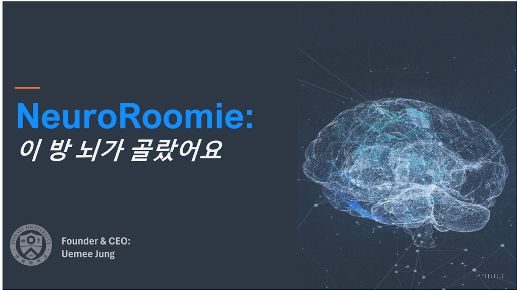 NeuroRoomie pitch cover